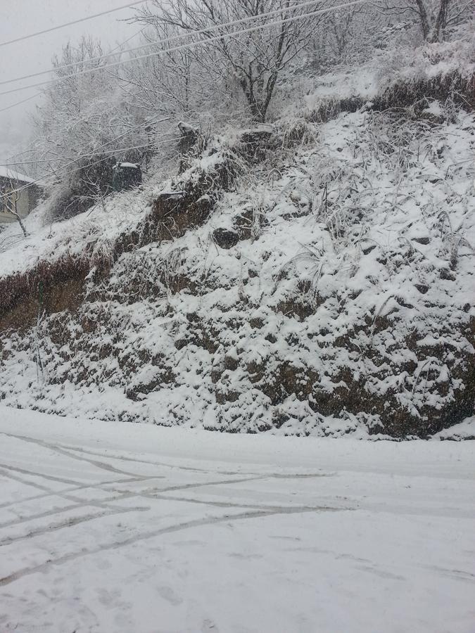 Holiday Bnb Manali מראה חיצוני תמונה